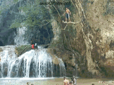 Humour - Fun Animaux Requins 01 