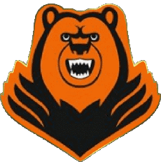 Sport Eishockey Russland Molot Prikamie Perm 