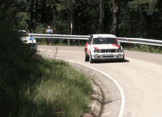 Humor - Fun Transporte Coches Accidente de rally fallido 