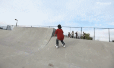 Humor -  Fun Sports Roller Skate Fun - Win 