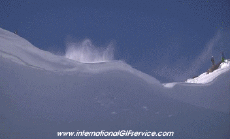 Humor -  Fun Sport Ski Free Ride Fun Win 