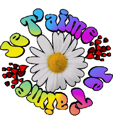 Messages Français Je T'aime 05 