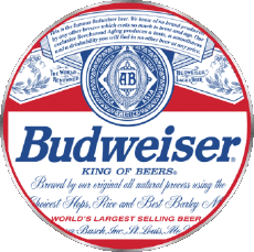 Getränke Bier USA Budweiser 