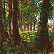 Humour - Fun GIF Artistes Bill Tavis 