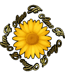 Messages Italian Ti Amo 02 