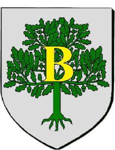 Bandiere Francia Dipartimenti - Città 81 LABRUGUIERE 