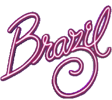 Multimedia V International Brazil Logo 