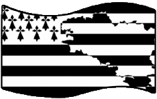 Flags France Regions Brittany Rectangle 