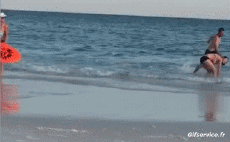 Humour - Fun Sports Skim board Gamelle - Fail 