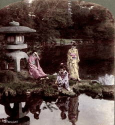 Humor -  Fun 3d Effekte Stéreoscopique Wiggle 