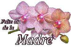 Nachrichten Spanisch Feliz día de la madre 05 