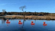 Humor -  Fun GIF Artists @Eclectech 