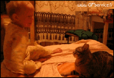 Humor -  Fun Tiere Katze 03 