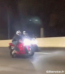 Humor - Fun Transporte Motocicletas Camino - Fail 