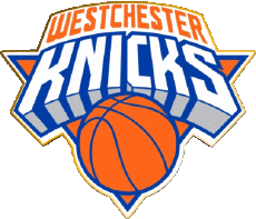 Sport Basketball U.S.A - N B A Gatorade Westchester Knicks 